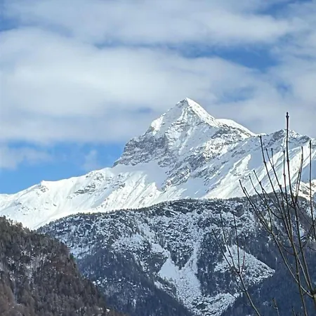 La Primula Panoramic View - Valmalenco *